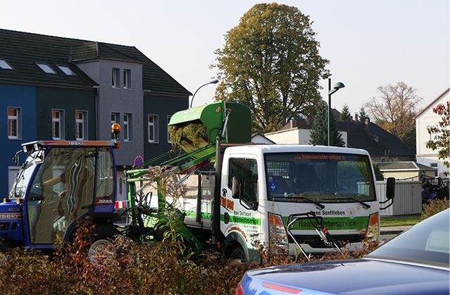 Beispielarbeit von Hausmeister- & Seniorenservice René Senftleben - veröffentlicht auf Hausmeisterdienste.net