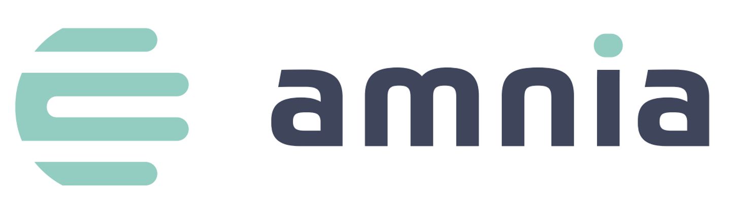 amnia tax Landau GmbH & Co.KG - LOGO