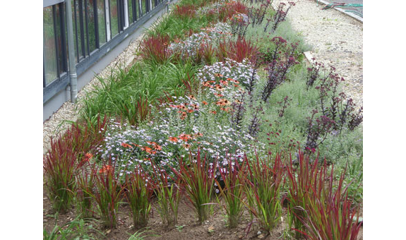 Beispielarbeit von Kaiser Klaus, Dipl.-Ing. - veröffentlicht auf Gartenbau.org