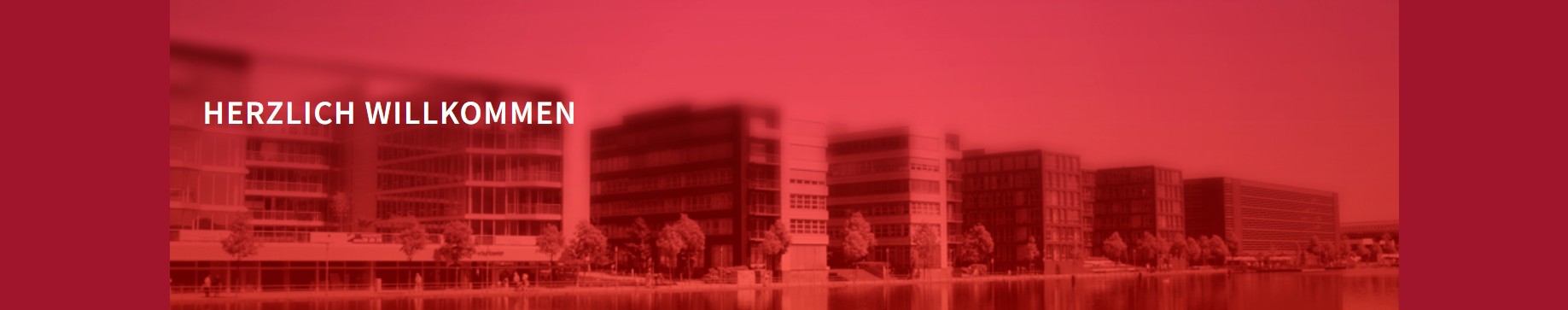 Mechthild Boeckstegers Steuerkanzlei cover image