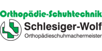 Logo der Firma Orthopädie-Schuhtechnik Schlesiger-Wolf aus Kirchberg auf dem Branchenportal Sanimio.de