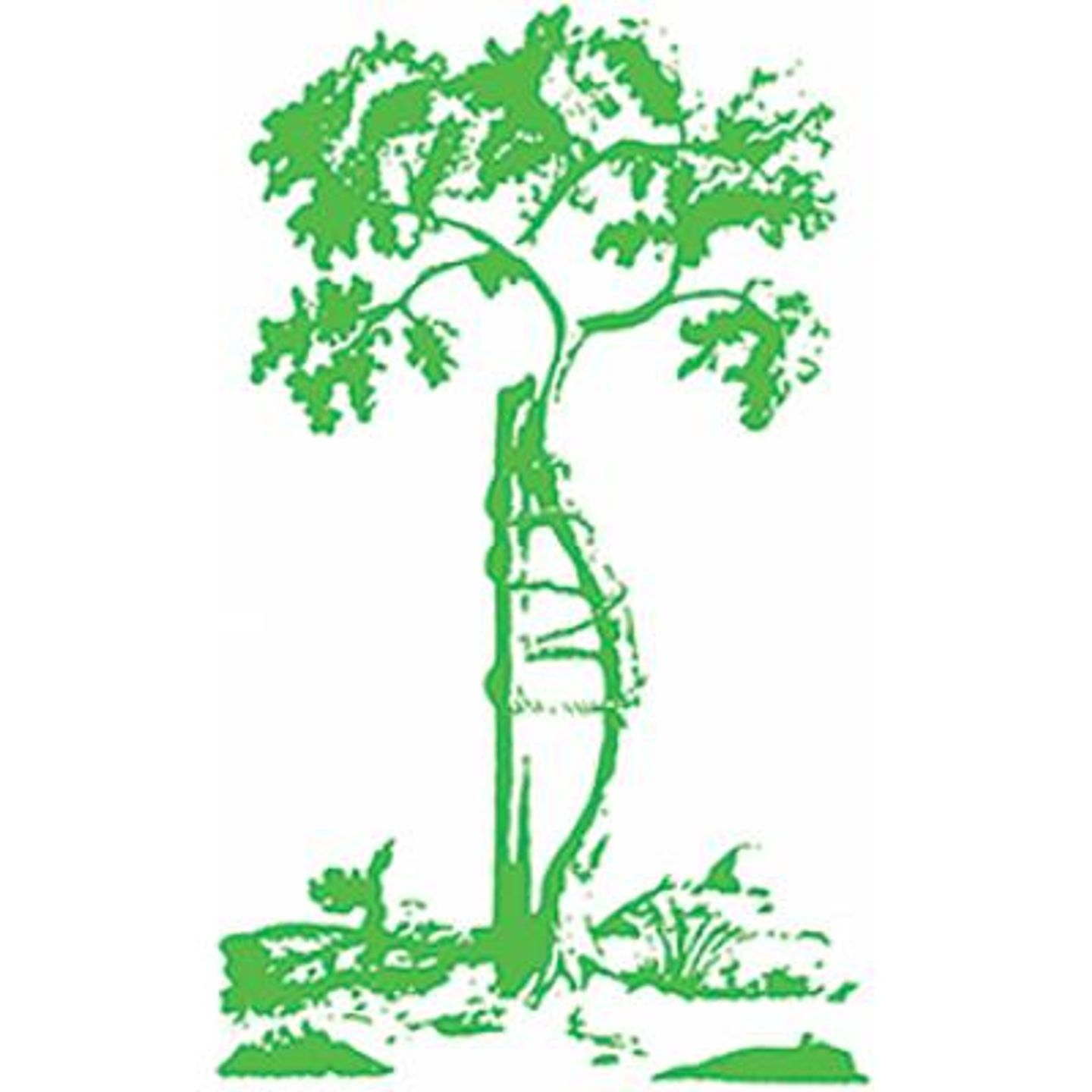 Logo der Firma Orthopädie- und Rehatechnik GmbH Karsten Mandau aus Mülheim auf dem Branchenportal Sanimio.de