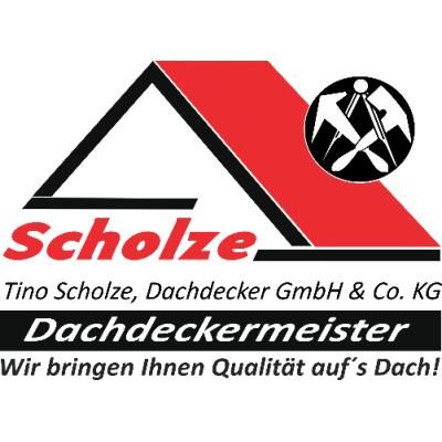 Logo der Firma Tino Scholze Dachdecker GmbH&Co.KG aus Alheim auf dem Branchenportal Dachdecker.com