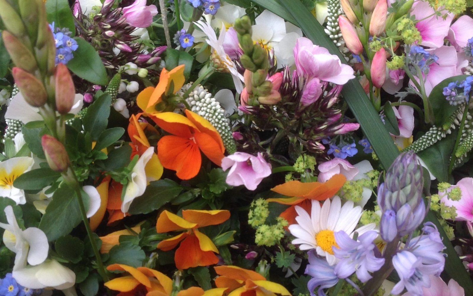 Beispielarbeit von Blumen Hauke - veröffentlicht auf Gartenbau.org