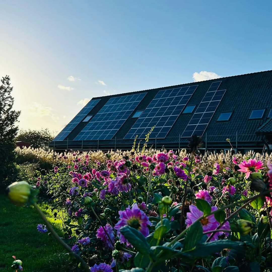 Beispielarbeit von ESB Elektrotechnik GmbH - veröffentlicht auf Elektriker.org