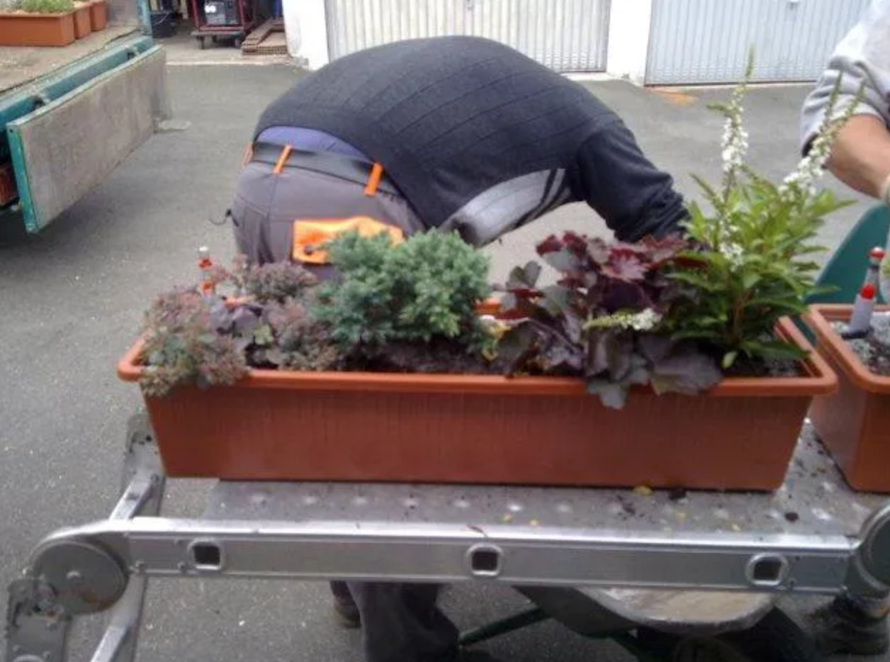 Beispielarbeit von Gala-Bau Murgas - veröffentlicht auf Gartenbau.org