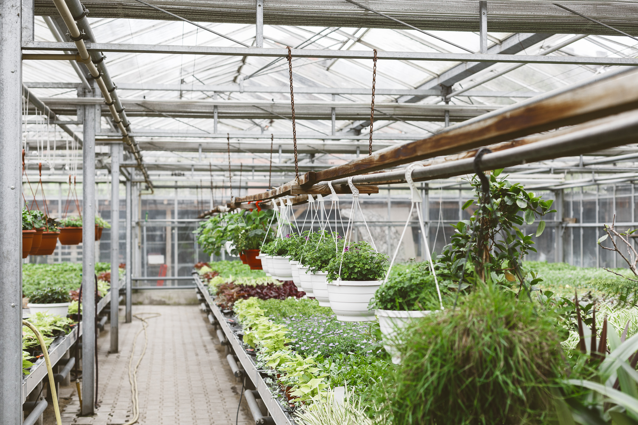 Beispielarbeit von Gärtnerei Schöbel - veröffentlicht auf Gartenbau.org