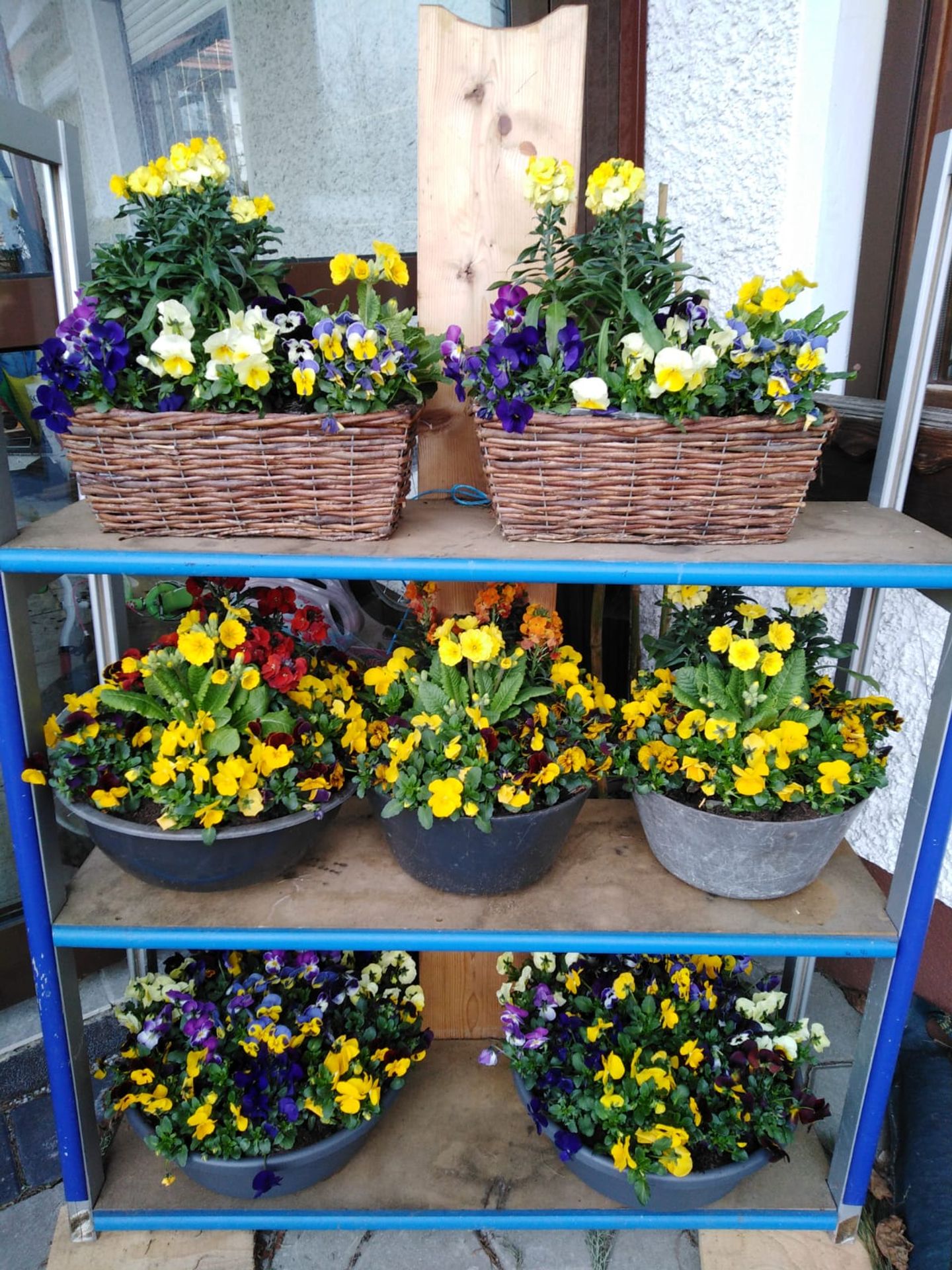 Beispielarbeit von Blumen & Floristik Kraus - veröffentlicht auf Gartenbau.org