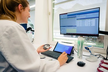 Beispielarbeit von Royal-Service GmbH - veröffentlicht auf Gutachter.org