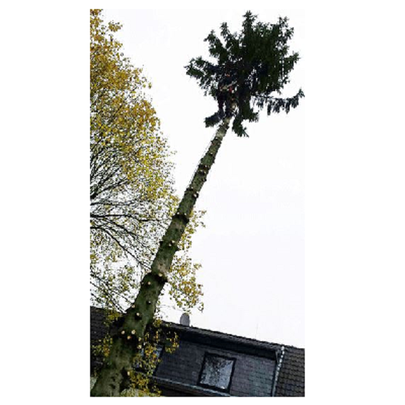 Beispielarbeit von GRÜN PROFIS UG - veröffentlicht auf Gartenbau.org