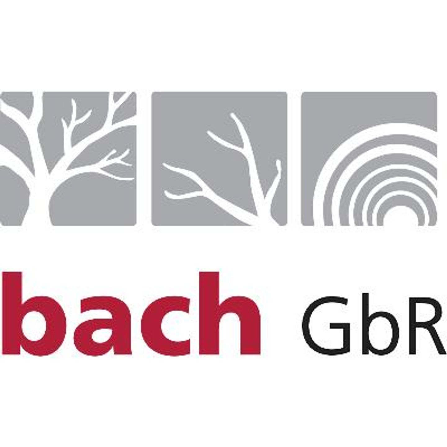 Logo der Firma Baumpflege & Baumfällung Bach GbR aus Drebach auf dem Branchenportal Gartenbau.org