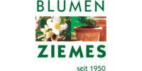 Logo der Firma Blumen Ziemes aus Krefeld auf dem Branchenportal Gartenbau.org