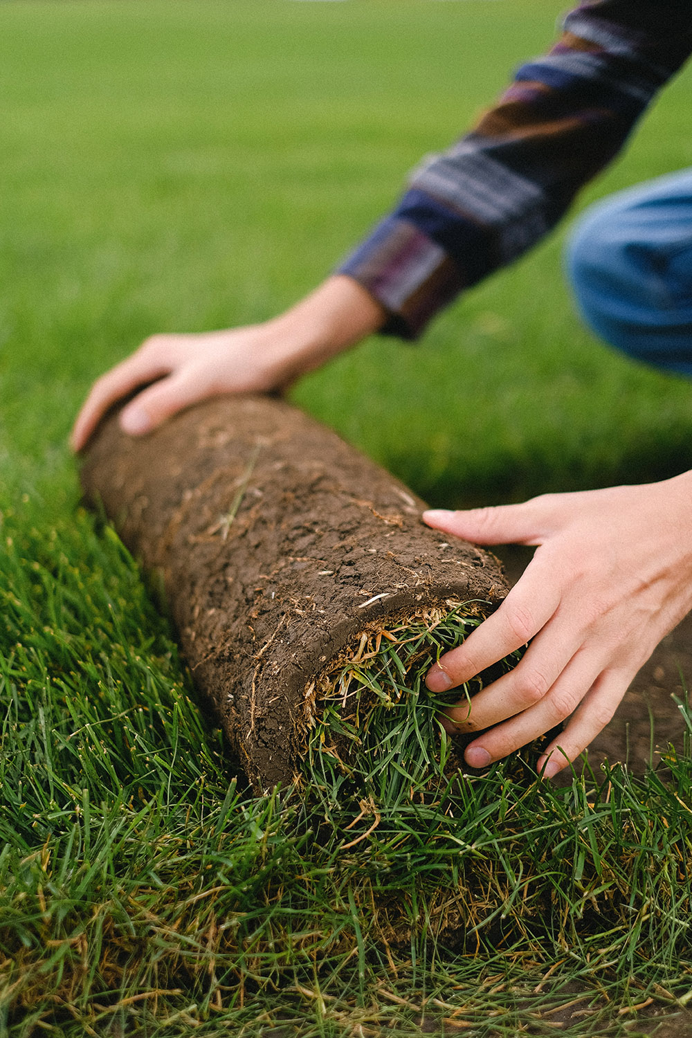 Beispielarbeit von Garten- & Landschaftsgestaltung - Sven Wessig - veröffentlicht auf Gartenbau.org