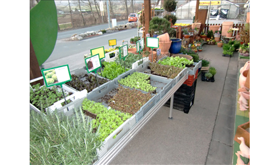 Beispielarbeit von Blumen Wendler - veröffentlicht auf Gartenbau.org