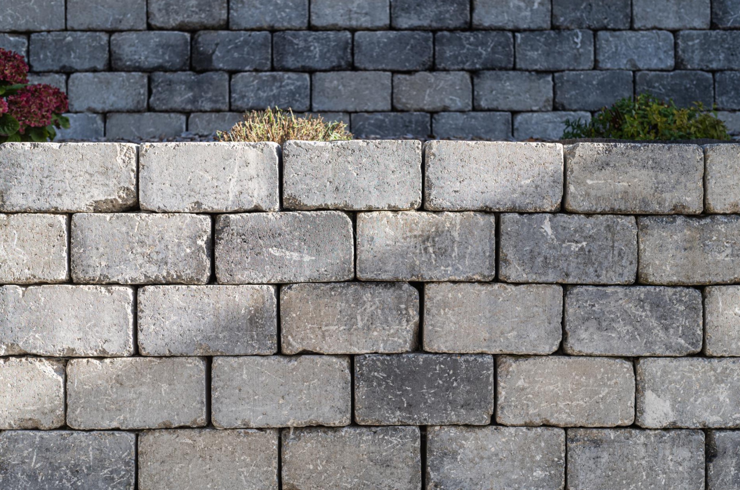 Beispielarbeit von Dienstleistungen Bauer GmbH - veröffentlicht auf Gartenbau.org