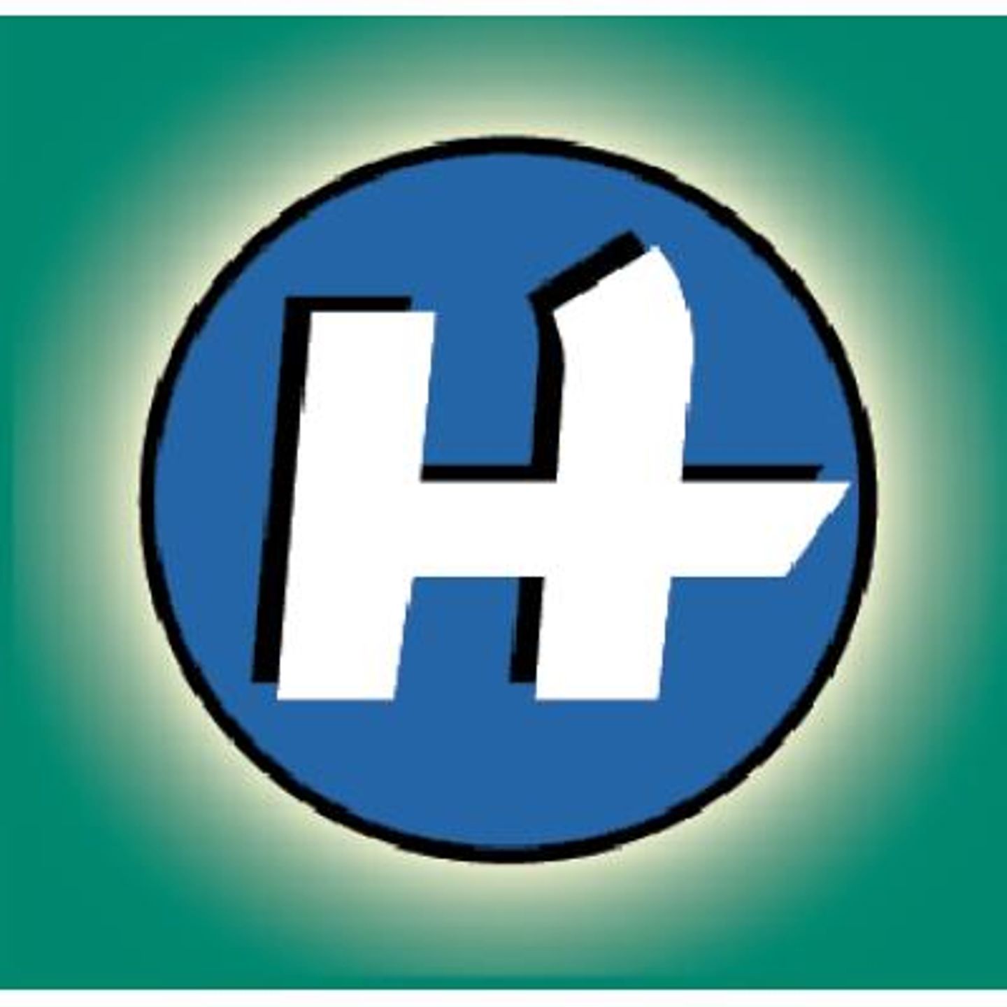 Logo der Firma Frank Hohlfeld Autohaus Hohlfeld aus Sebnitz auf dem Branchenportal Auto-Werkstatt.de
