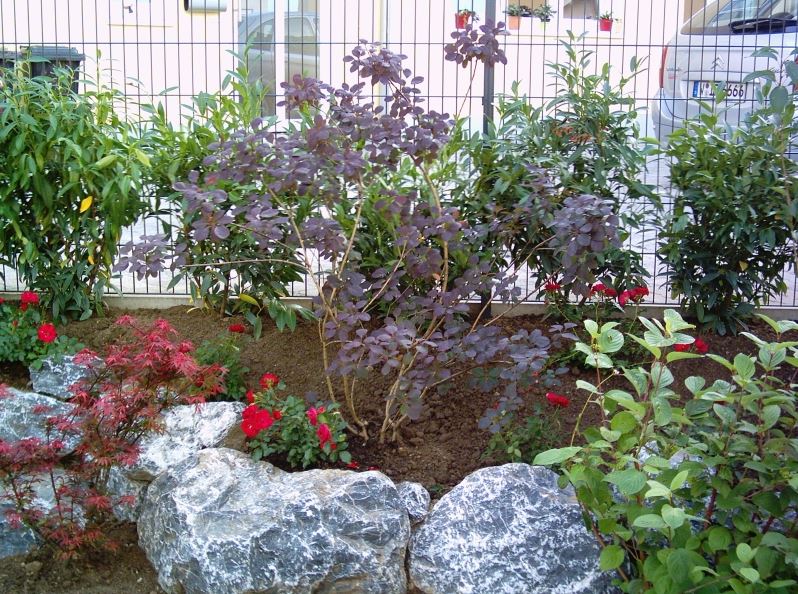 Beispielarbeit von Garten und mehr - Jan Langhanki - veröffentlicht auf Gartenbau.org