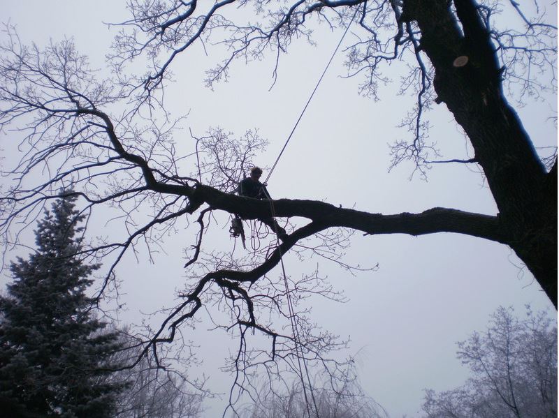 Second Image