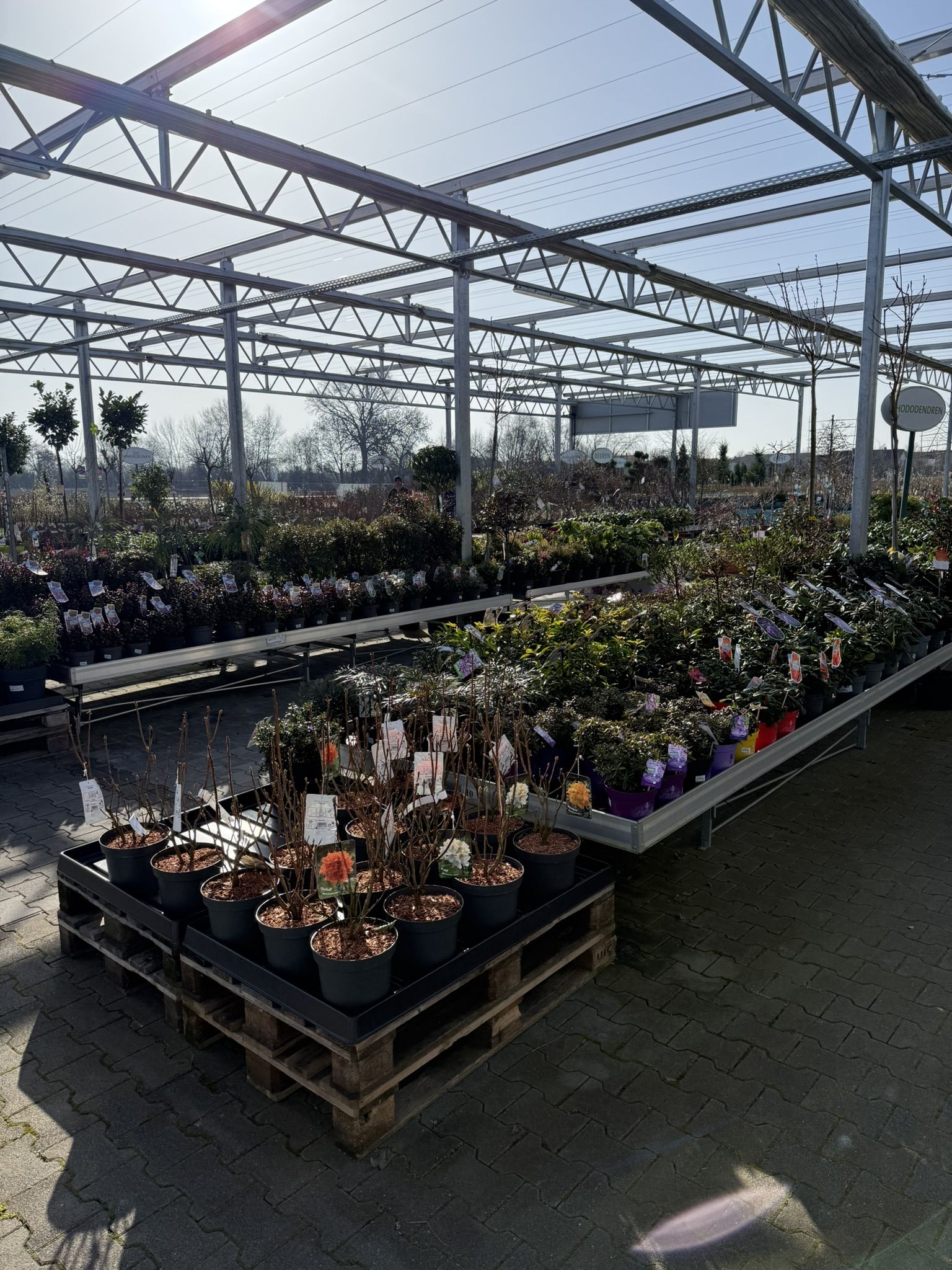 Beispielarbeit von 1 A Garten Zitzelsberger - veröffentlicht auf Gartenbau.org