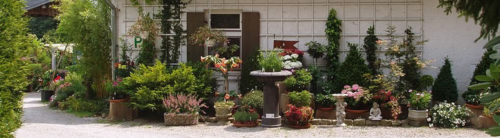 Wolfgang Weber Gartenbau cover image