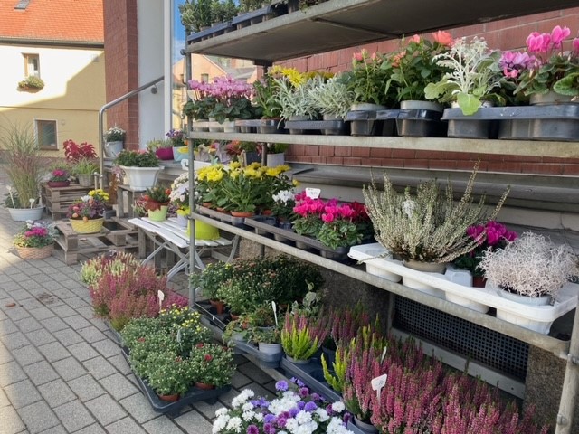 Beispielarbeit von Blumeneck Weischlitz - veröffentlicht auf Gartenbau.org