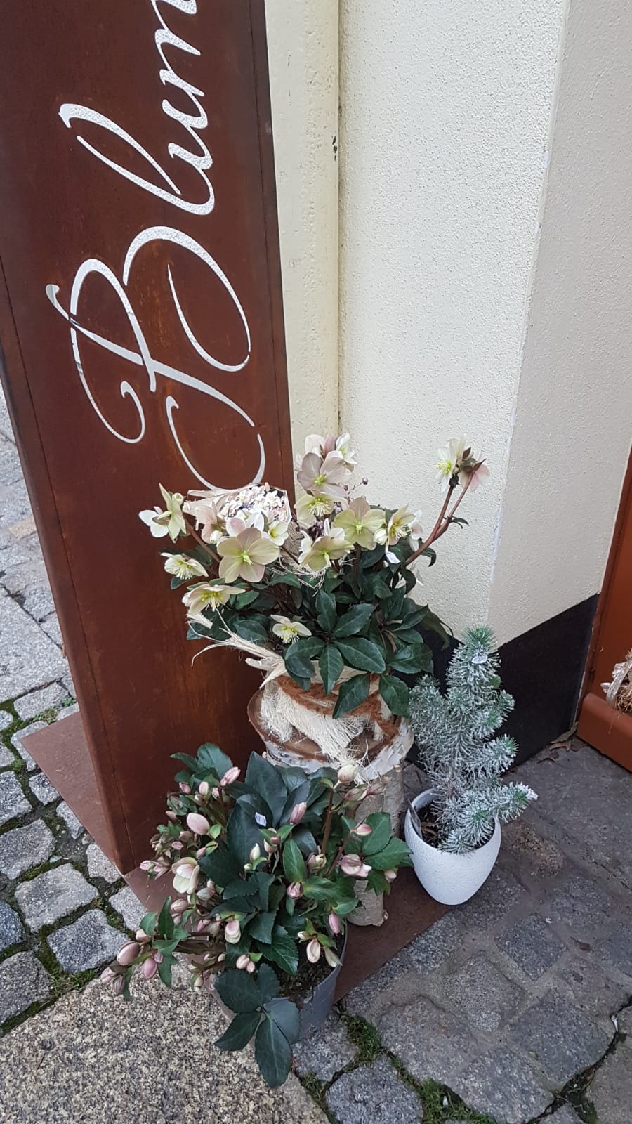 Beispielarbeit von Blumengeschäft Steinmüller - veröffentlicht auf Gartenbau.org