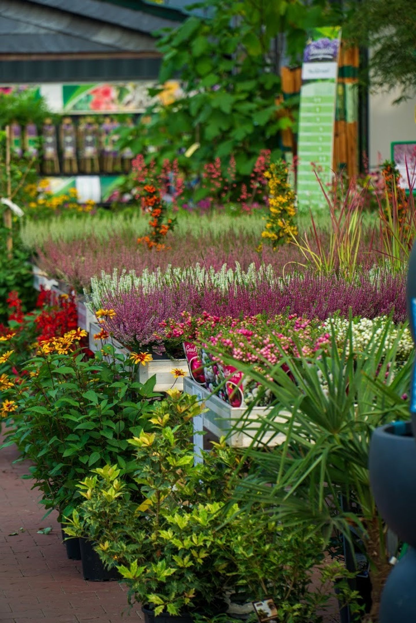 Beispielarbeit von Garten-Center Spiering GmbH Wesel - veröffentlicht auf Gartenbau.org