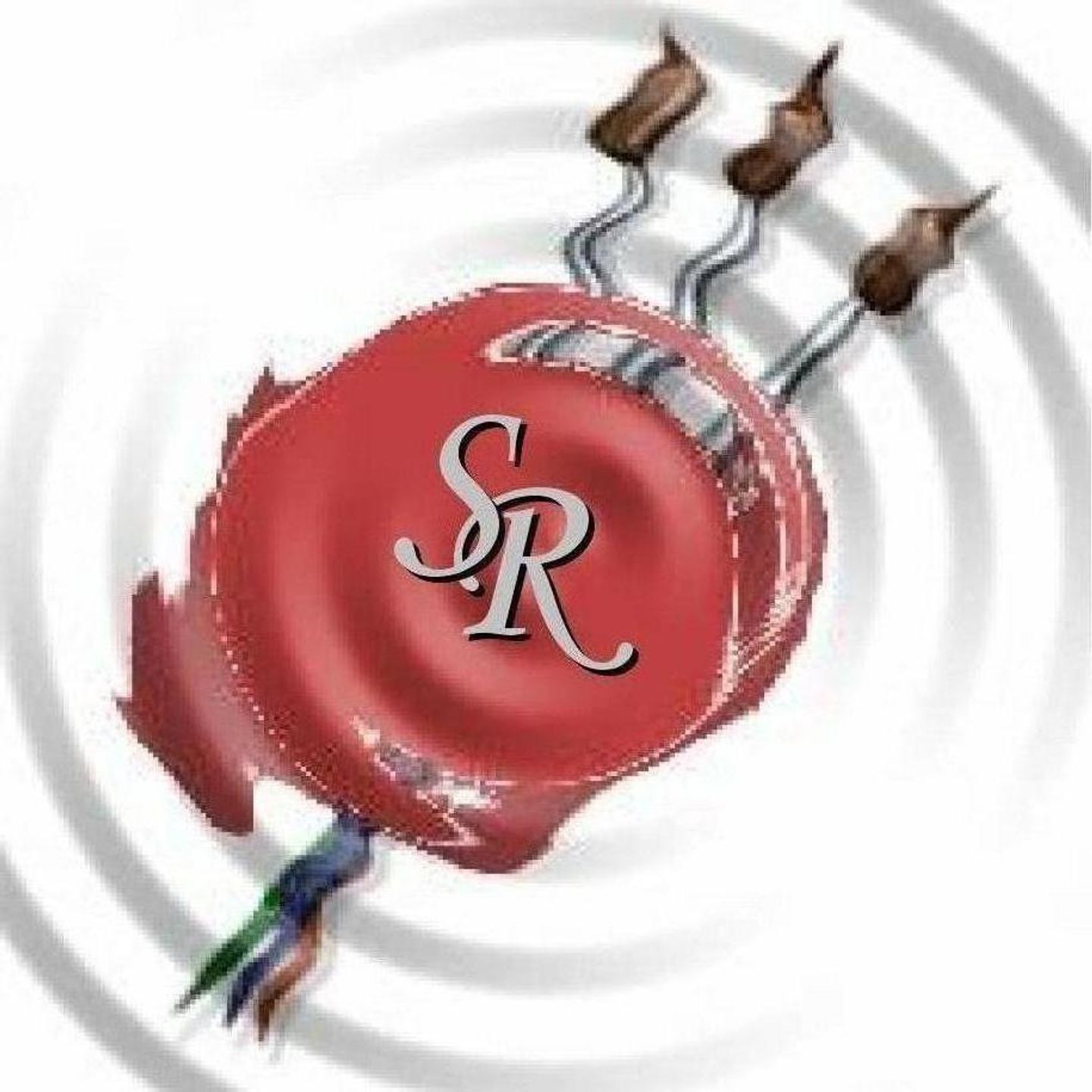 Logo der Firma Siegl Richard Malerfachbetrieb aus Albaching auf dem Branchenportal Maler.org