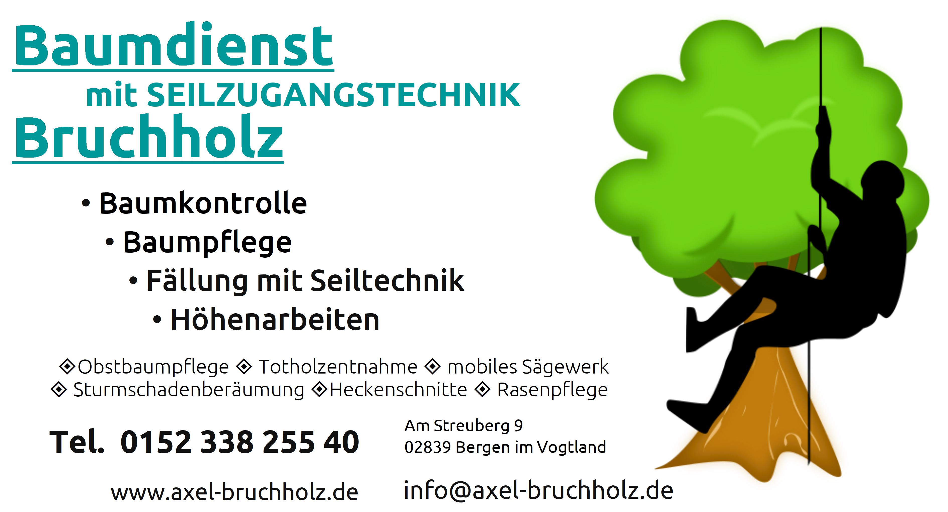 Beispielarbeit von Baumdienst mit Seilzugangstechnik Bruchholz - veröffentlicht auf Gartenbau.org