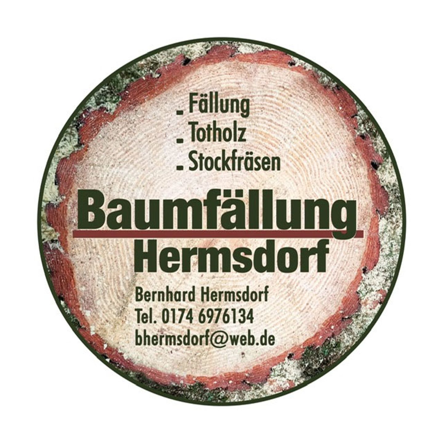 Beispielarbeit von Bernhard Hermsdorf Baumfällungen - veröffentlicht auf Gartenbau.org