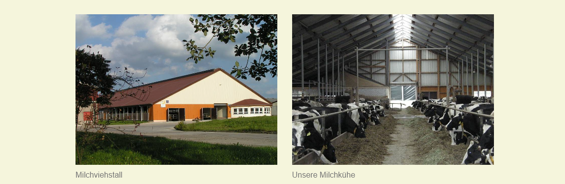 Agrargenossenschaft Bergland Clausnitz e.G. cover image