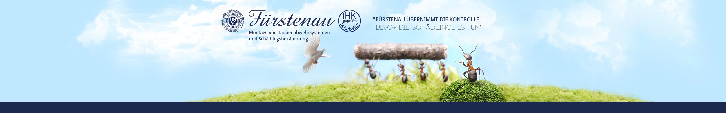 Andreas Fürstenau Schädlingsbekämpfung cover image