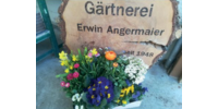 Logo der Firma Angermaier Erwin Gärtnerei aus Bad Feilnbach auf dem Branchenportal Gartenbau.org