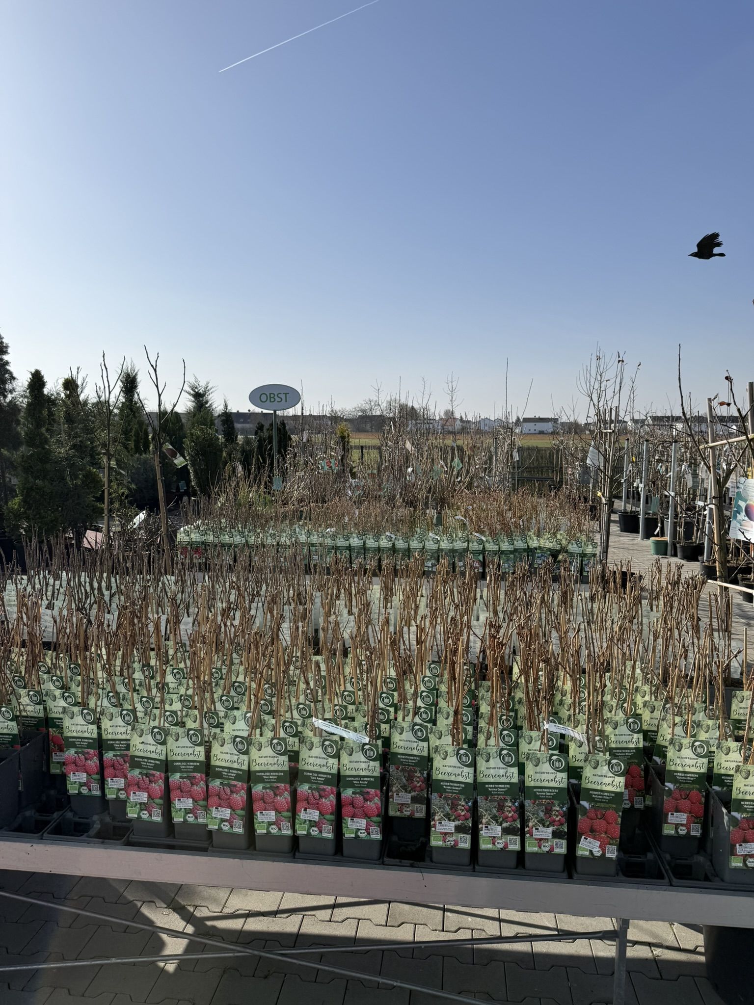 Beispielarbeit von 1 A Garten Zitzelsberger - veröffentlicht auf Gartenbau.org