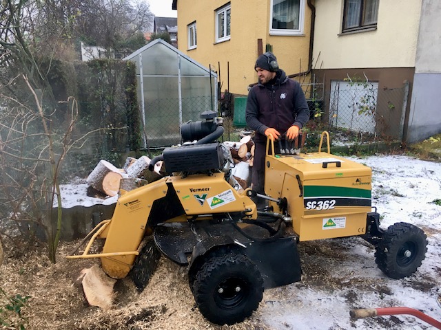 Beispielarbeit von Baumkonzept GmbH - veröffentlicht auf Gartenbau.org