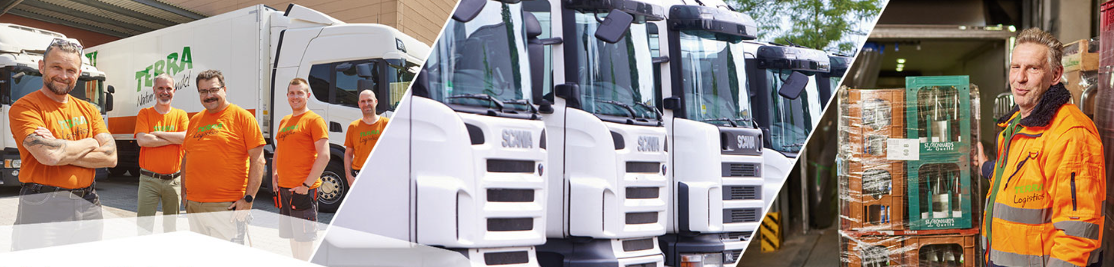 Terra Logistics GmbH cover image