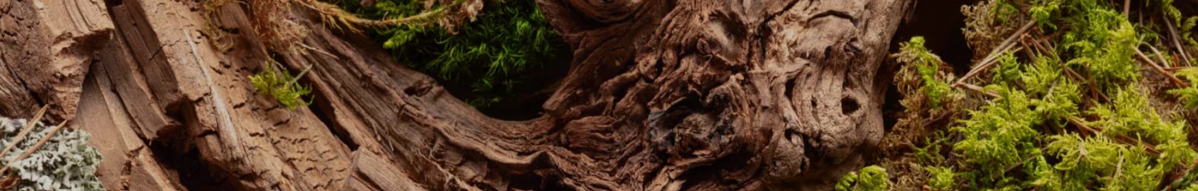 Böhmer Manufactur e. K. cover image