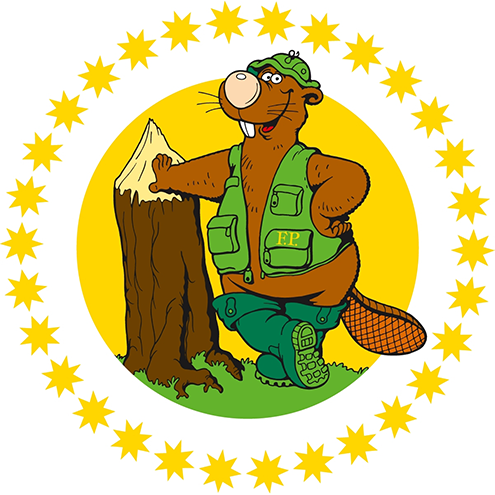First Image
