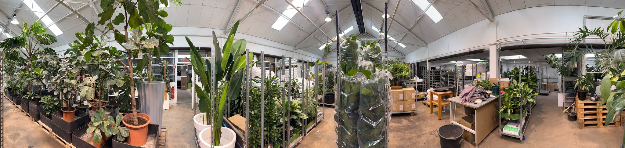 P2 Objekt Grün® - Pflanzen für Ihr Unternehmen cover image