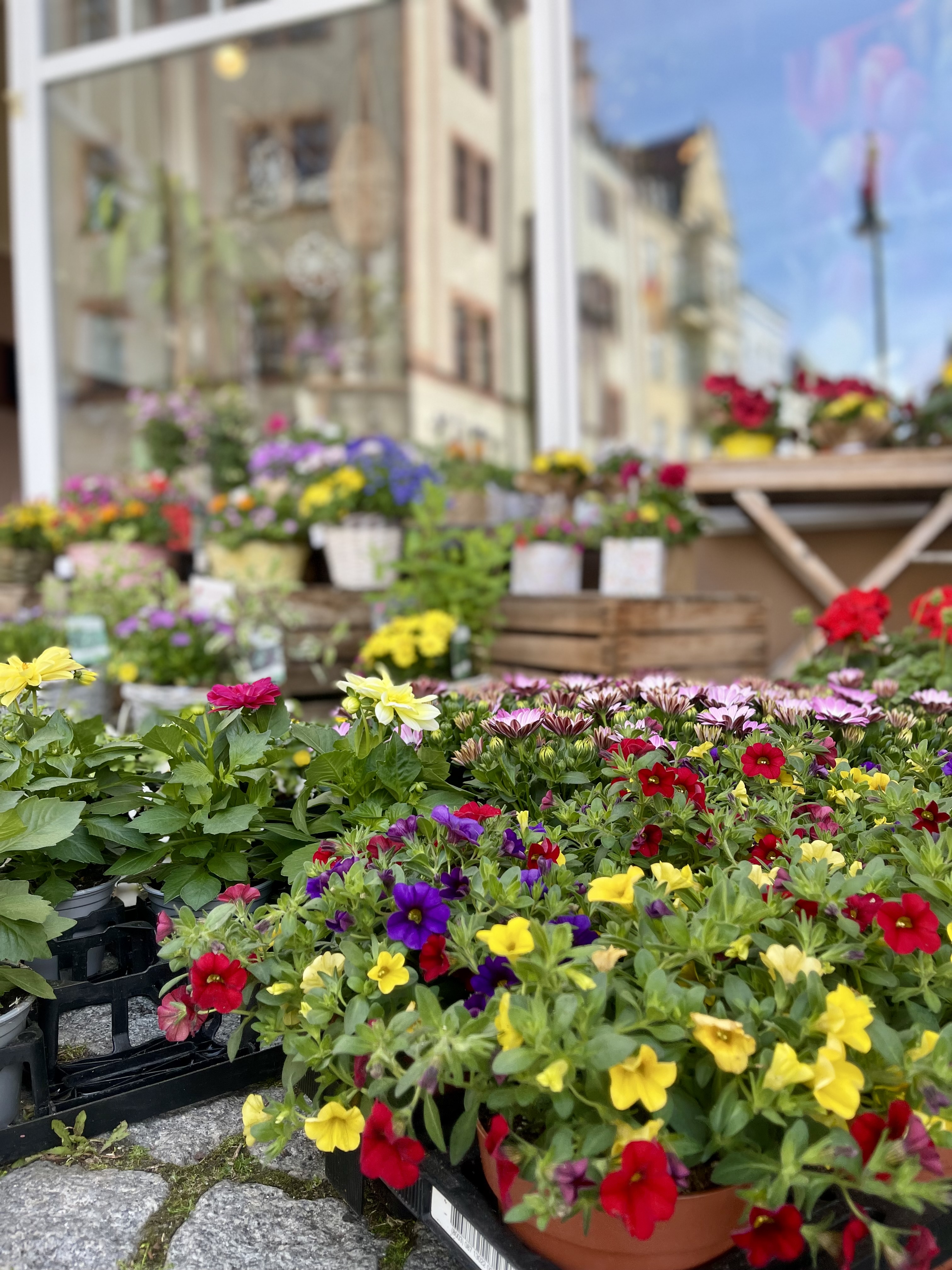 Beispielarbeit von Blumenboutique Melanie - veröffentlicht auf Gartenbau.org