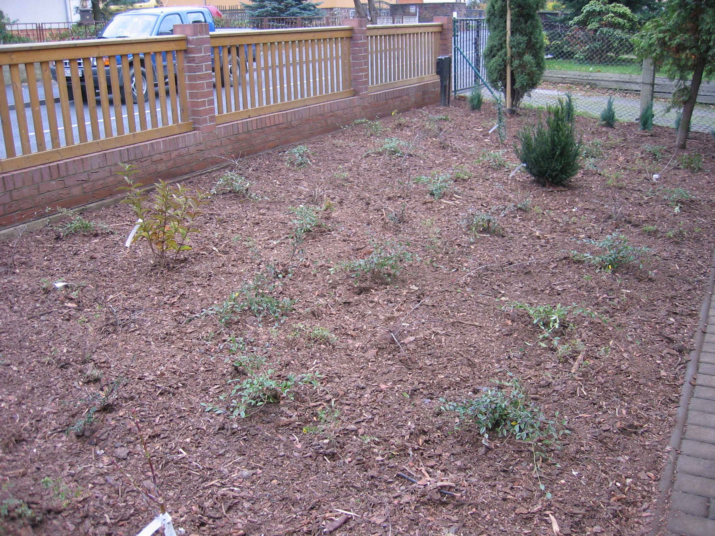 Beispielarbeit von L & G Landschaftspflege und Gebäudeservice GmbH - veröffentlicht auf Gartenbau.org