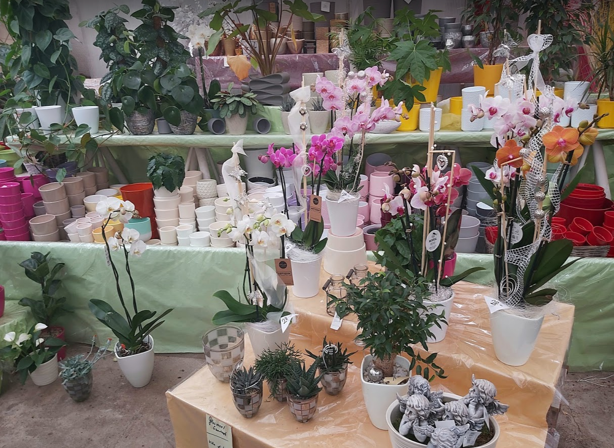 Beispielarbeit von Blumen Groth - veröffentlicht auf Gartenbau.org