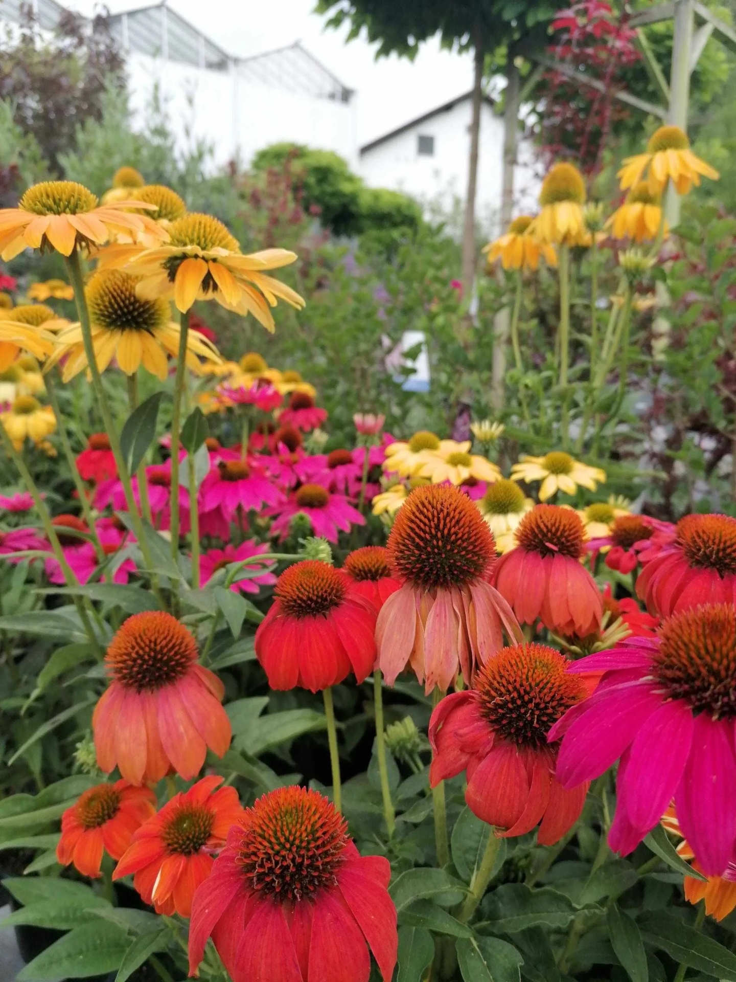 Beispielarbeit von Blumen Hopf - veröffentlicht auf Gartenbau.org