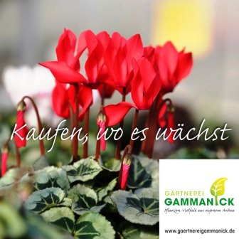 Beispielarbeit von Gärtnerei Gammanick GbR - veröffentlicht auf Gartenbau.org