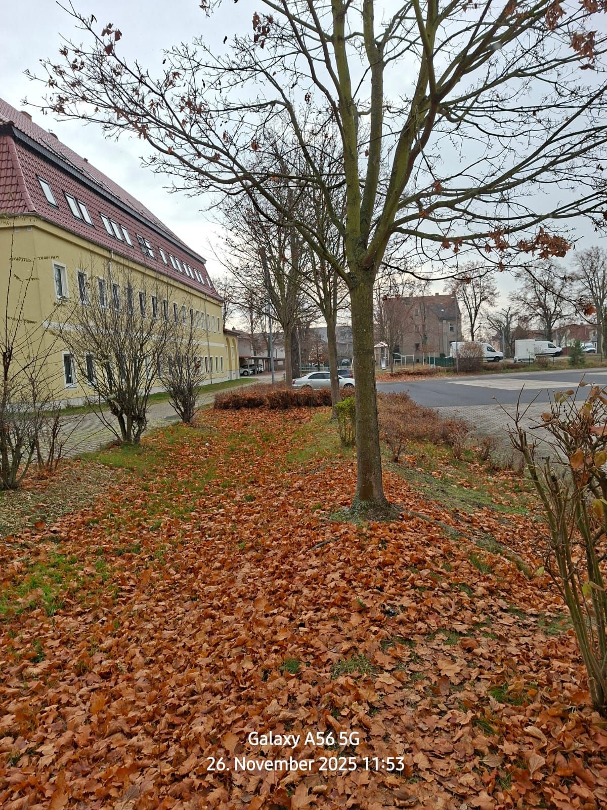 Beispielarbeit von WEGA Garten & Landschaft - veröffentlicht auf Gutachter.org