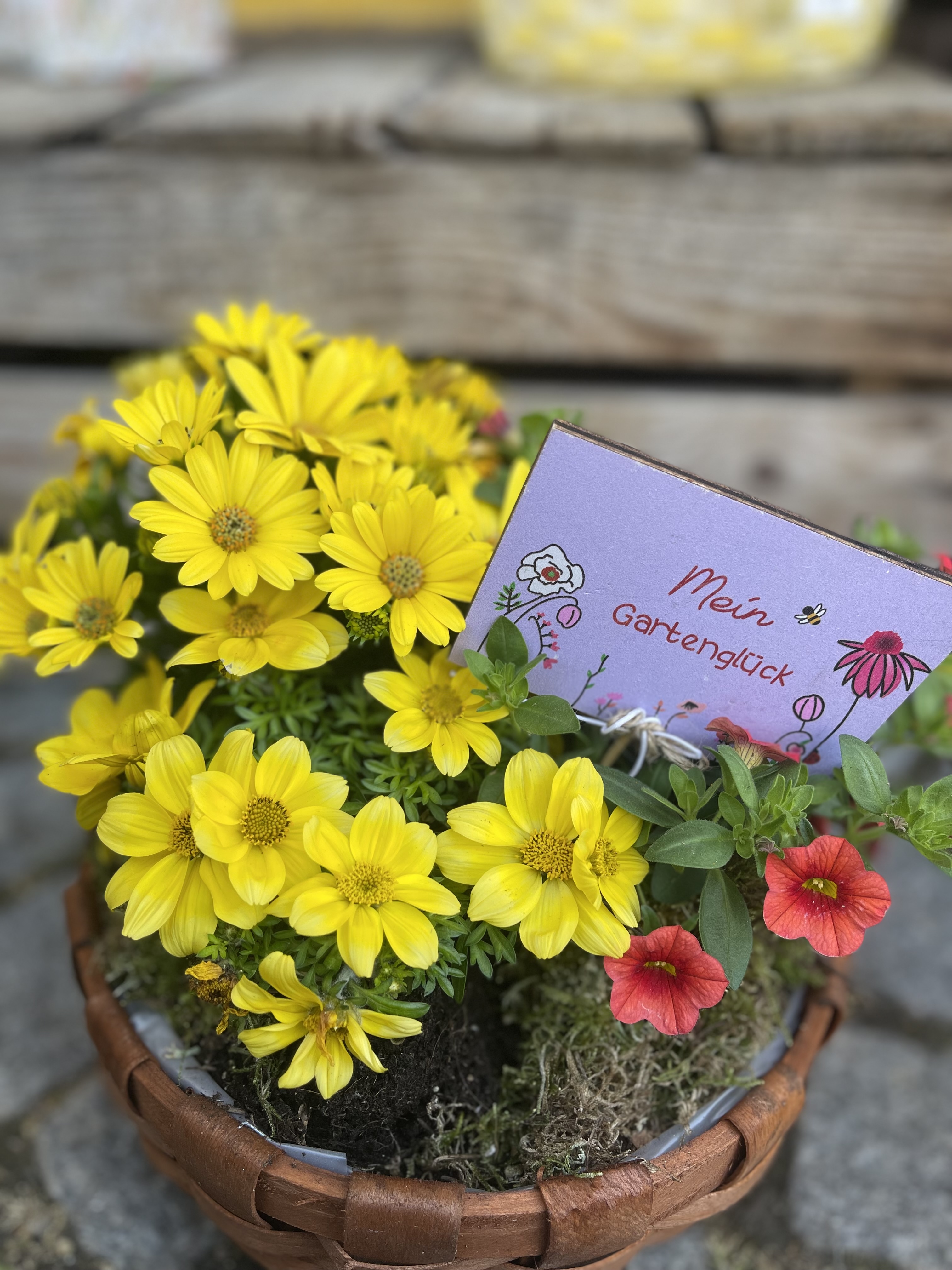 Beispielarbeit von Blumenboutique Melanie - veröffentlicht auf Gartenbau.org