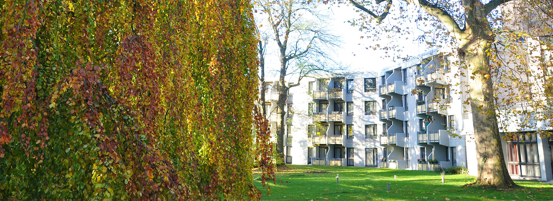 Luisenheim - IN VIA Katholischer Verband für Mädchen- und Frauensozialarbeit - Düsseldorf e. V. cover image