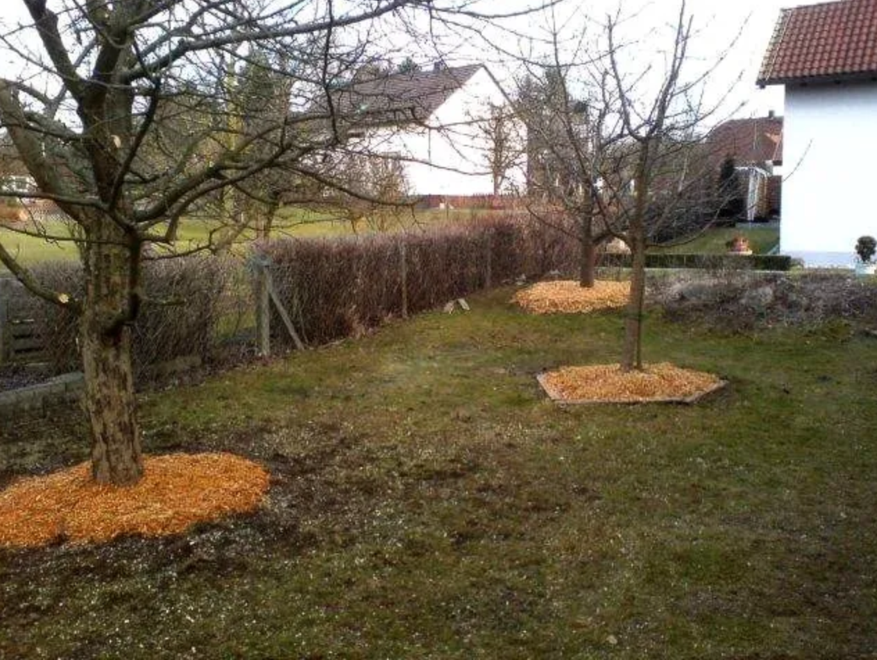 Beispielarbeit von Gala-Bau Murgas - veröffentlicht auf Gartenbau.org