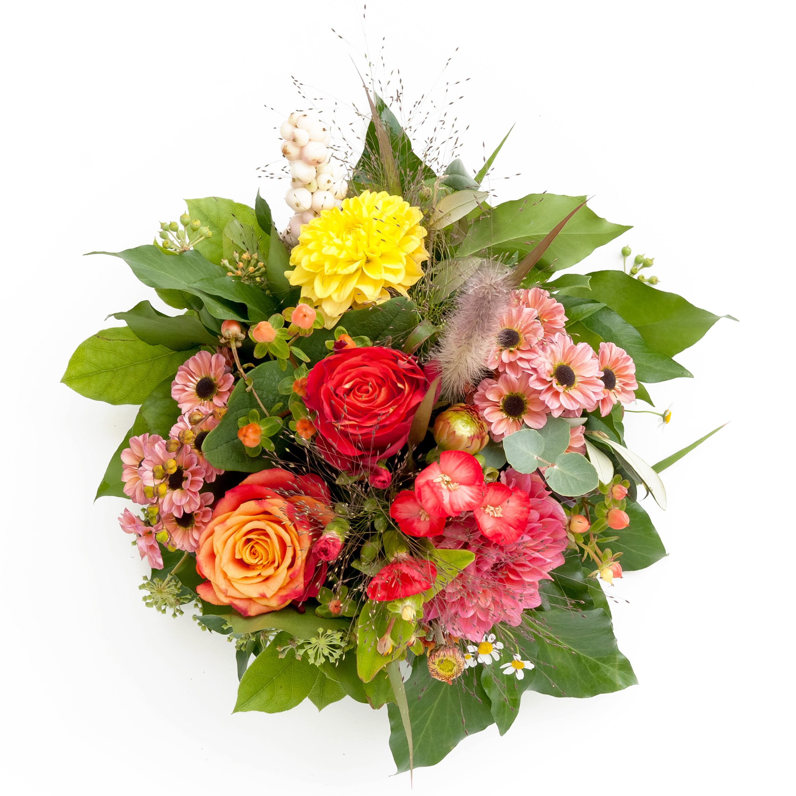 Beispielarbeit von mohnblume - Ihr Blumenladen in Neuhausen - veröffentlicht auf Gartenbau.org