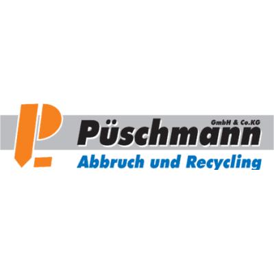 Logo der Firma Abbruch u. Recycling Püschmann GmbH & Co. KG aus Lugau auf dem Branchenportal Bauunternehmen.org